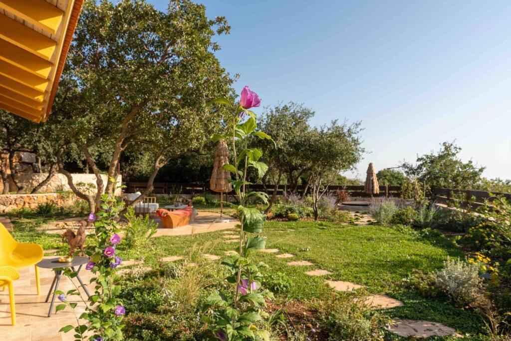הוילה Azamra אמירים מראה חיצוני תמונה